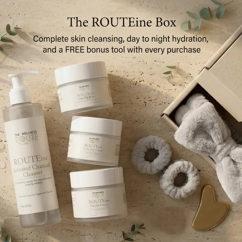 The ROUTEine Box